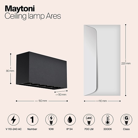 Потолочный светильник Outdoor Ares O309CL-L10GF3K - фото