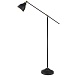 Торшер Arte Lamp BRACCIO A2054PN-1BK - фото