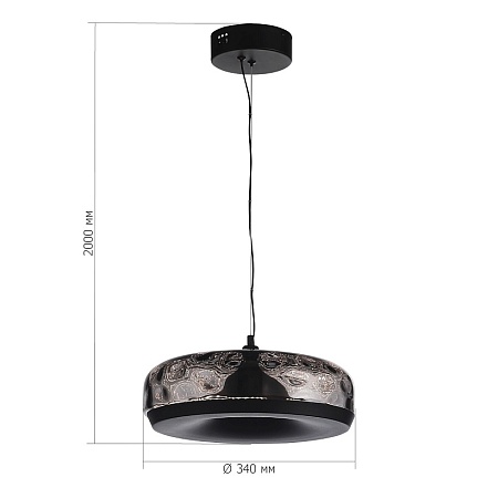 Светильник подвесной ST-Luce Черный/Черный, Дымчатый LED 1*42W 3000K SL6014.403.01 - фото