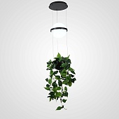 Подвесной Светильник Palma Wall Lamp Шар + Вазон Imperiumloft 168489-22