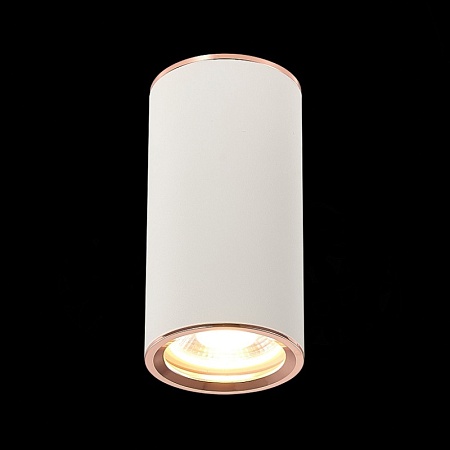 Светильник потолочный Белый GU10 1*50W D54xH105 220V Без ламп ST111.527.01 - фото