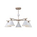 Потолочная люстра F-Promo 2774-5P - фото