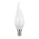 Светодиодная лампа Gauss Свеча на ветру 6W 450Lm 4100K E14 34126 - фото
