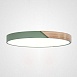 Потолочный Светильник Clip Green D50 Imperiumloft 193050-26 - фото