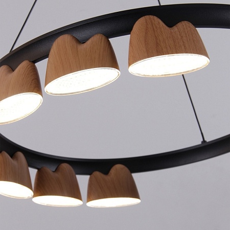 Подвесная люстра Favourite 4266-9P - фото