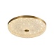 Потолочный светильник Arti Lampadari Viro L 1.13.45x8 G - фото