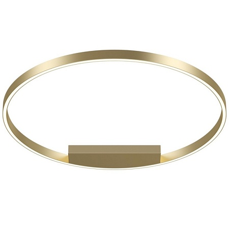 Потолочный светильник Maytoni Rim MOD058CL-L50BS4K - фото