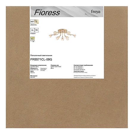 Люстра Freya FR5571CL-09G - фото