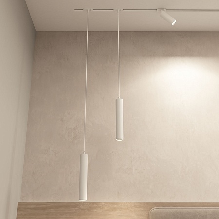 Светильник на шине Denkirs SOLID Tube DK6210-WH - фото