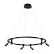 Подвесная люстра Arte Lamp RING A2186SP-1BK - фото