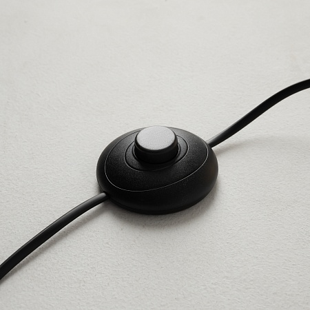 Напольный светильник (торшер) Maytoni MOD427FL-L20B3K - фото