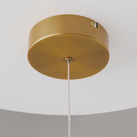 Подвесной светильник Maytoni Mind MOD299PL-L10BS3K - фото