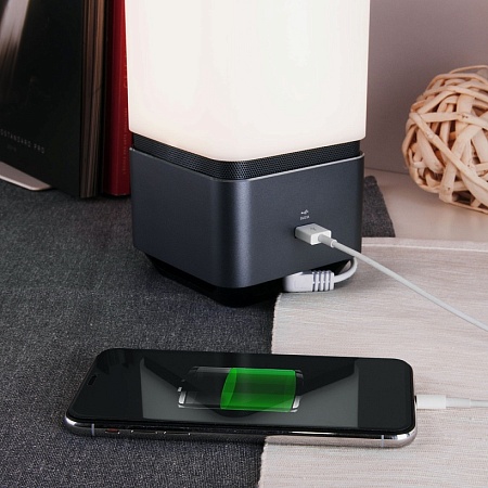 Smart-лампа с bluetooth-колонкой  серебристый Lussole Media 80418/1 - фото