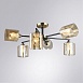 Потолочная люстра ARTE LAMP A4185PL-6BK - фото