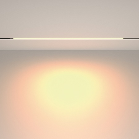 Трековый светильник Technical TR231-2-15W3K-B - фото