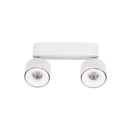 10323/2A White Накладной светильник LOFT IT Focus - фото