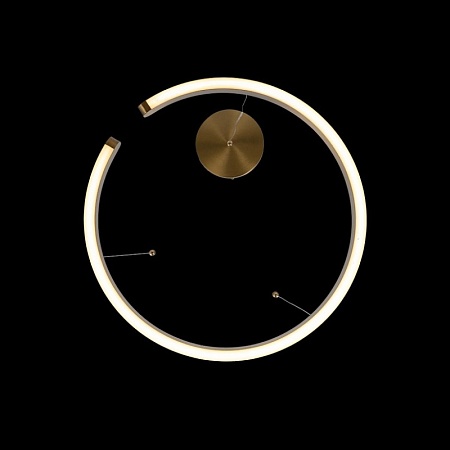 10013M Подвесной светильник LOFT IT Ring - фото