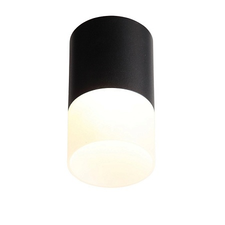 Светильник потолочный Черный LED 1*10W 3000K 780Lm Ra>80 120° D78xH135 170-240VV ST100.402.10 - фото