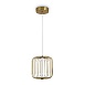 Подвесной светильник Freya Sabi FR6131PL-L13BS - фото