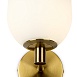 Настенный светильник (бра) Freya Sharlot FR1012WL-01BS - фото