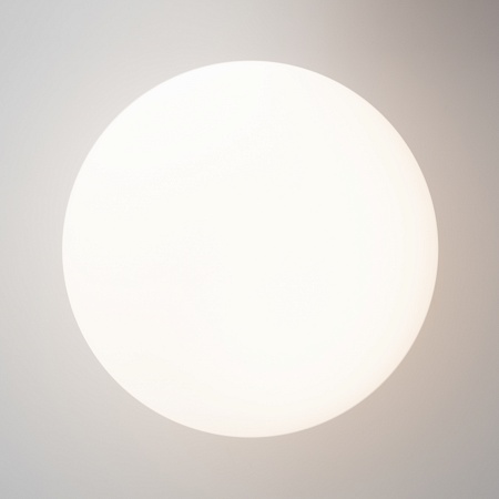 Потолочный светильник Maytoni MOD427CL-L10B3K - фото