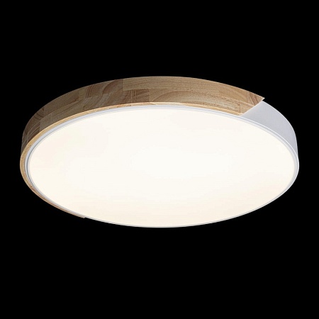 10004/36 White Потолочный светильник LOFT IT Axel - фото