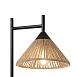Настольный светильник Freya FR5566TL-01B - фото