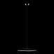 10119 Black Подвесной светильник LOFT IT Plato - фото