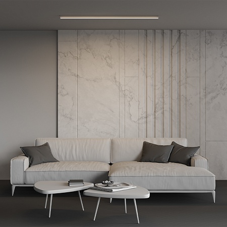 Линейный светильник Technical LL311005 - фото