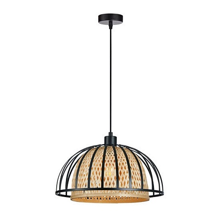 Подвесной светильник Arte Lamp WOODSTOCK A7071SP-1BK - фото