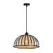 Подвесной светильник Arte Lamp WOODSTOCK A7071SP-1BK - фото