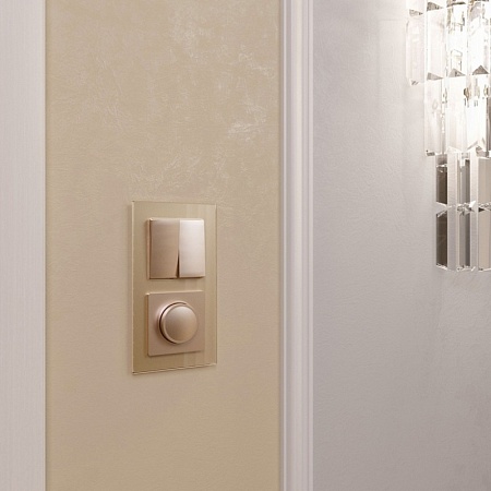 Диммер (шампань) W1142011 - фото