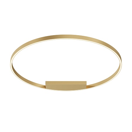 Потолочный светильник Maytoni Rim MOD058CL-L65BSK - фото