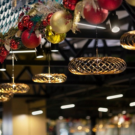 Подвесная люстра Favourite 4680-1P - фото