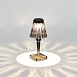 Прикроватная лампа ST-Luce Дымчато-серый/Дымчато-серый LED 1*2W 3000K - 6000K SL1010.734.01 - фото