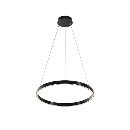 Подвесной светильник Maytoni Rim MOD058PL-L32BK - фото