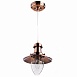 Подвесной светильник Arte Lamp FISHERMAN A5518SP-1RB - фото