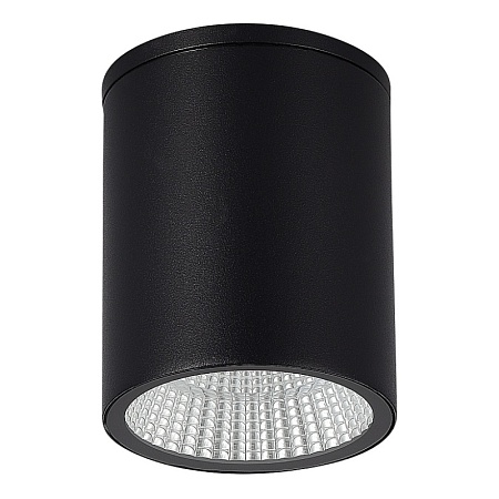 Светильник уличный потолочный ST-Luce черный/белый LED 1*12W 3000K/4000K/6500K SL9514.412.01 - фото