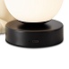Настольный светильник Freya FR5607TL-01W - фото