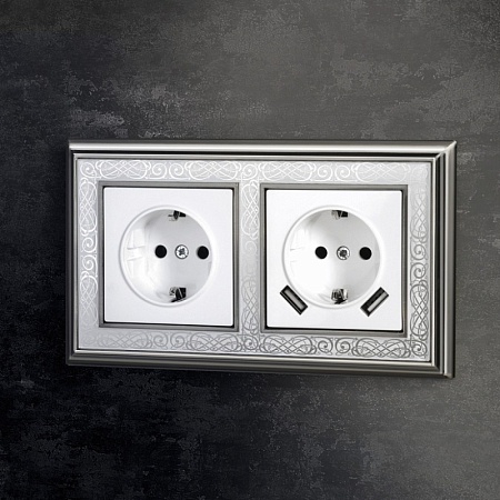 Розетка с заземлением, шторками и USBх2 белая WL01-SKGS-USBx2-IP20 - фото