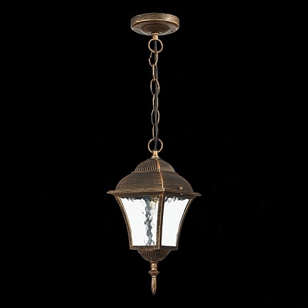 Светильник уличный подвесной ST-Luce Бронза/Бронза, Прозрачный E27 1*60W SL082.203.01 - фото