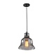 Подвесной светильник Arte Lamp AMIATA A4255SP-1SM - фото