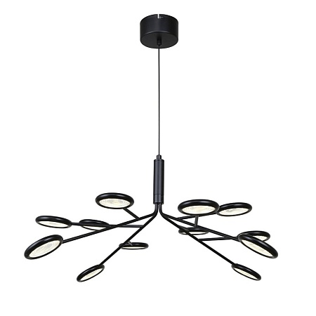 Подвесная/потолочная люстра F-Promo 4252-12P - фото