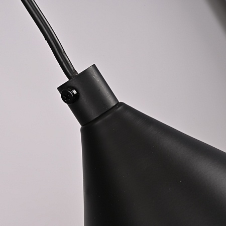 Подвесной Светильник Roundew D29 Black Imperiumloft 302464-26 - фото