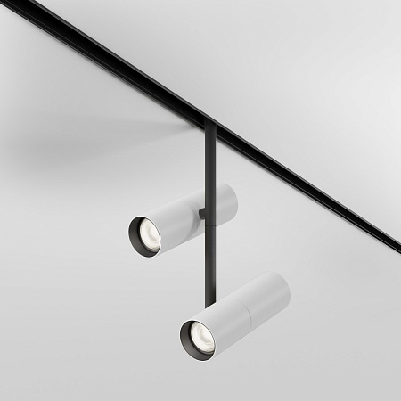 Трековый светильник Technical Elti Duo TR005-2-2X12W4K-BW - фото