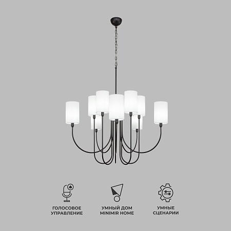 Подвесной светильник Eurosvet 60164/10 черный - фото