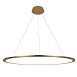 10014XL Подвесной светильник LOFT IT Ring - фото