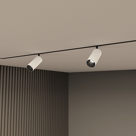 Светильник на шине Denkirs SMART SPOT DK8041-BW+BK - фото