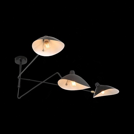 Люстра потолочная ST-Luce Черный/Черный, Белый E27 3*60W SL305.402.03 - фото