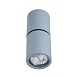 Спот Divinare GAVROCHE POSTO 1800/05 PL-1 - фото